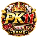 PK11 Game