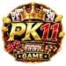 PK11 Game